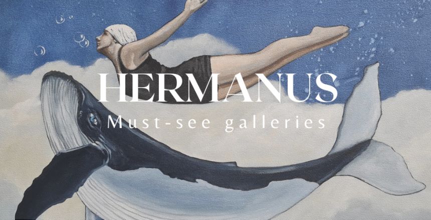 Hermanus Galleries 2